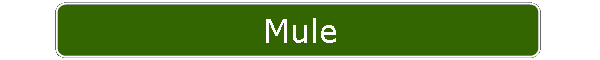 Mule
