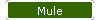 Mule