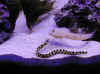 eelandgoby.JPG (32964 bytes)