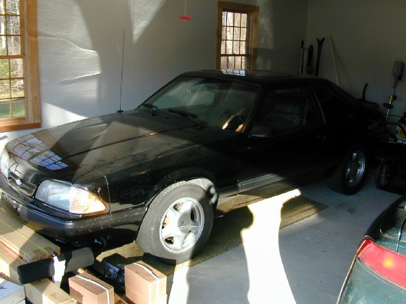 mustang.jpg (98231 bytes)